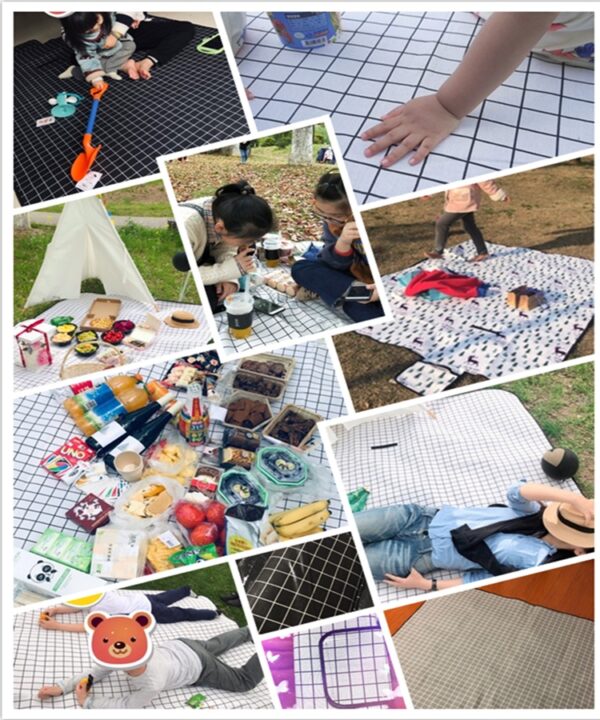 Outdoor Damp Proof Mat Waterproof Floor Mat Polyester Spring Outing Mat Thickened Picnic Mat Beach Mat Gift Mat - Image 8
