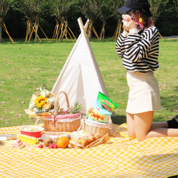 Outdoor Picnic Lawn Picnic Portable Waterproof Garden Picnic Cloth - Image 4